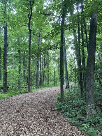 Scenic nature trail